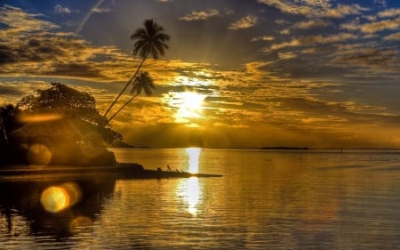 Till the End of Day - palm, beach, lake, reflection, clouds, trees, sunset, sea, nature