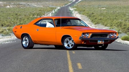 1970 Dodge Challenger - car, Challenger, 1970, Dodge