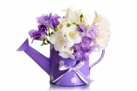 Freesias - white, card, flower, pink, freesia, spring, lilac