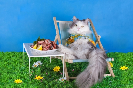 Picnic - pisica, svetlana valyiskaya, blue, funny, green, food, picnic, cat