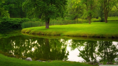 Park Of River - green, of, park, river