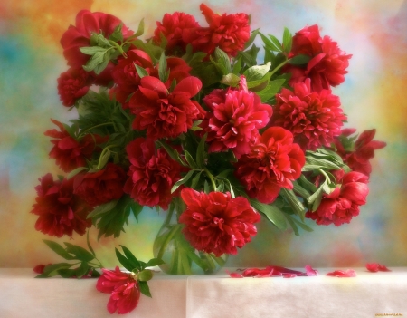 PEONIES - leaves, colors, petals, vase