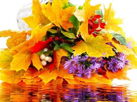 Autumn Beauty - flowers, nature, yellow, autumn, reflection, leaves