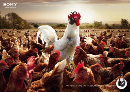 99% noise canceling - sony, funny, creative, white, chicken, rooster, headphones, situation, red, commercial