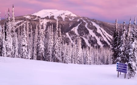 Winter Mountain at Sunset - Mountain, Trees, Snow, Sunset