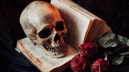 ♥ - flowers, red, dark, skull