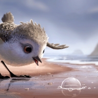 Little Bird on the Beach