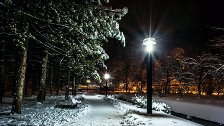 Winter Night - street, trees, town, lamps, snow, bench