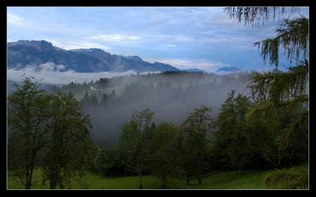 Foggy mountains - nature, mountains