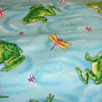 frogs and dragonflies