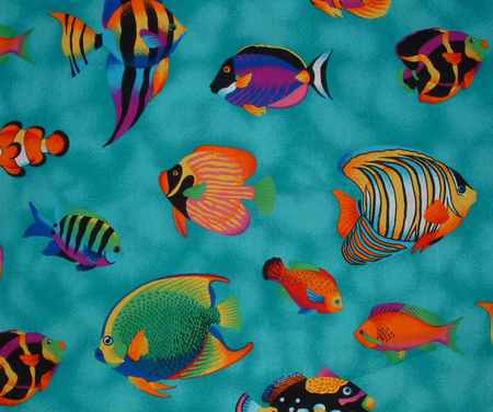 FISH ON TURQUOISE - fish, different, kind, turquiose