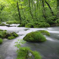 Landscape from Japan