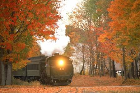 Train - brown, trains, locomotives, trunks, seasons, nice, other, sunrises, travel, gold, connecticut, white, nature, lights, autumn, green, yellow, amazing, sunsets, leaves, steam, train, forests, red, carpet, trees, essex, beautiful, cool, orange, awesome, smoke, leaf