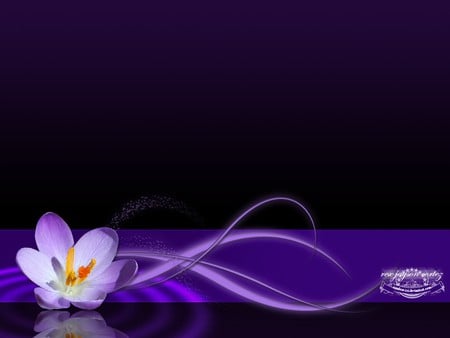 A Flower - abstract, passion, purple, beauty, flower