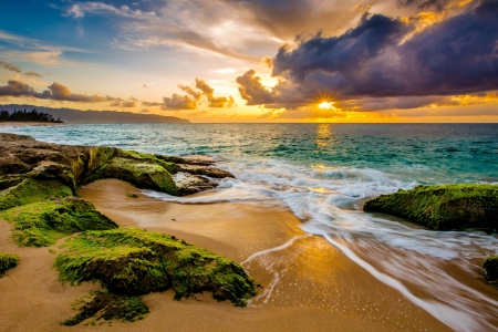 Beach - water, beach, sunset, grass