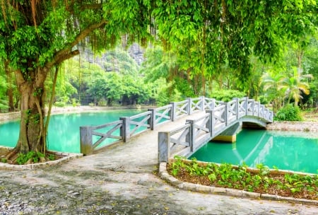 Park with Bridge - park, tree, bridge, with