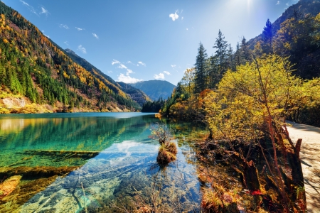 River - River, lake, nature, tree