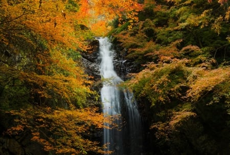 Waterfall - nature, tree, rocks, Waterfall