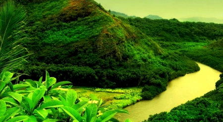 Green Mountain River - river, trees, nature, mountain