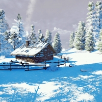 Cabin in winter