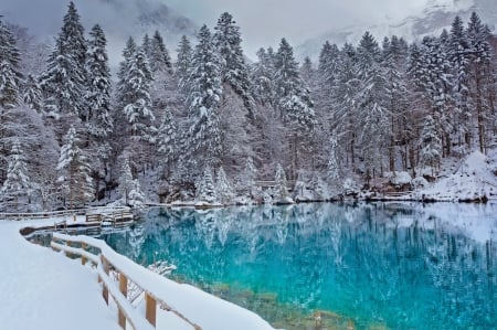 Winterscape - trees, winter, beautiful, snow, landscape, forest, reflection, cold, frost, lake