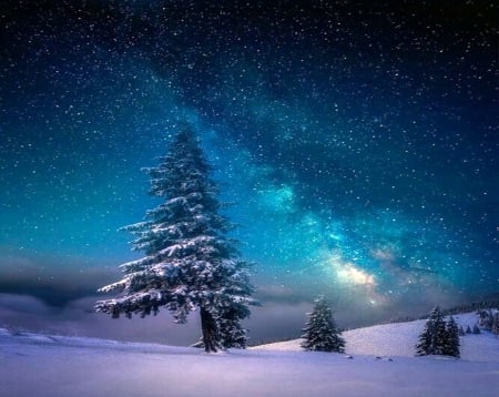 Beautiful sky - stars, blue, tree, sky