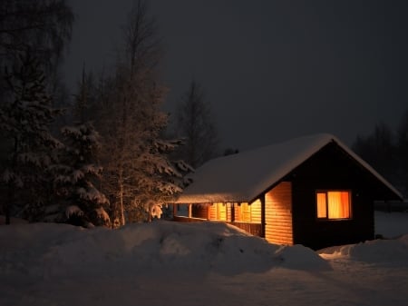 Winter Cottage at Night - trees, winter, nature, lights, snow, night, cottage