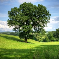 Cheshire Landscape, England