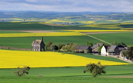 Rural Landscape - village, landscape, oilseed rape, fields