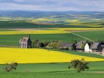 Rural Landscape