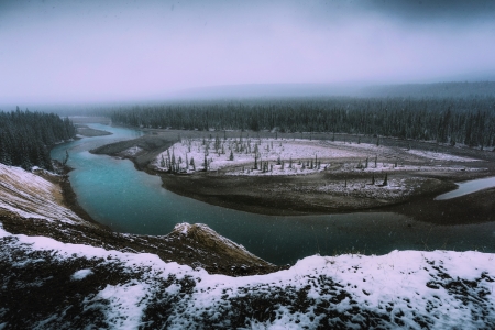 River - nature, tree, snow, river