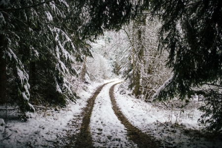 Winter - snow, Winter, nature, season