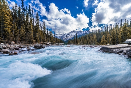 River - nature, sky, tree, river