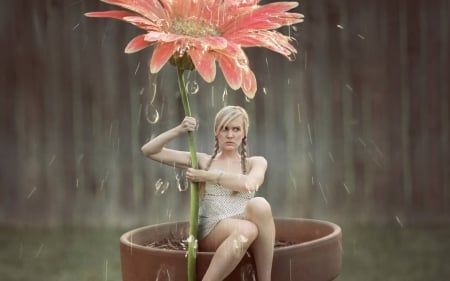 flower umbrella - umbrella, funny, entertainment, cool, flower