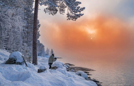 Sunset winter - winter, tree, sunset, cloud