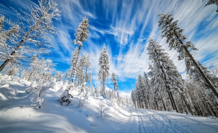 Beautiful winterscape - sky, trees, mountain, winter, road, cold, frost, snow, beautiful