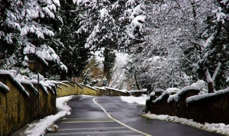 Winter Road - snow, road, winter, forest