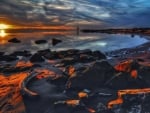 Rocky Shore at Dawn