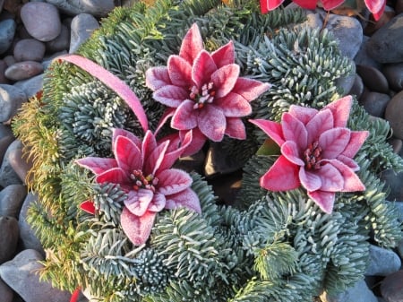 Frosty Wreath - frost, freeze, winter, wreath, frozen, icey