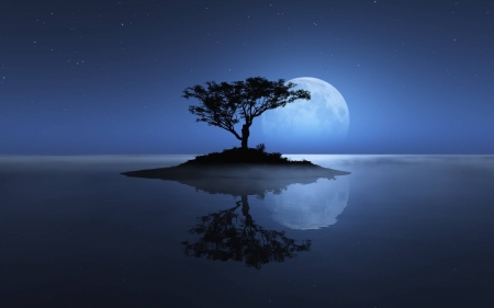 full moon tree - space, fun, ocean, cool, full moon, tree