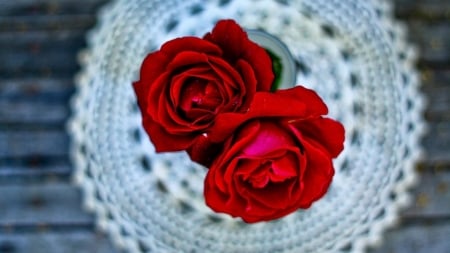 Two Red Roses - red, decroration, roses, flowers, photography, nature