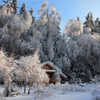 Wooden hut in winter