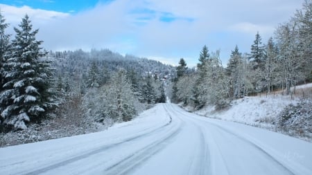 Winter Road Home - roaod, Firefox Persona theme, highway, winter, snow, forest, mountains, sky