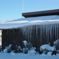 Driggs Veterinary Clinic; Driggs, Idaho