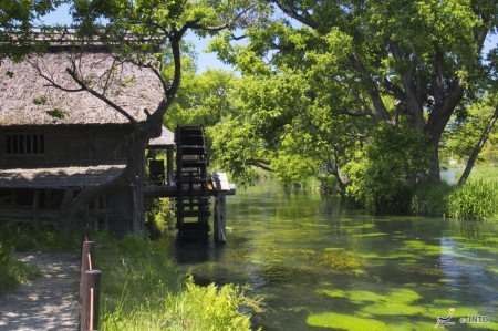 Wasabi Farm - river, japan, nature, scenery, lake, wasabi, farm, japanese