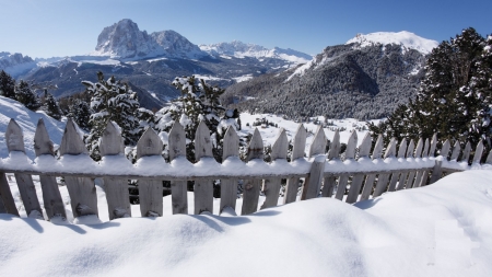 Val Gardena, South Tyrol, Italy - trees, folomites, landscape, mountains, fence