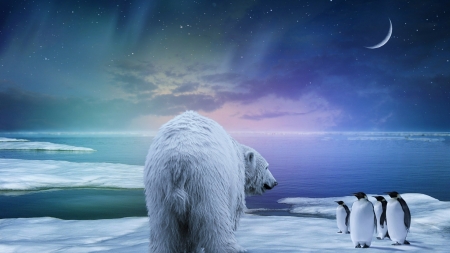 Polar bear and royal penguins