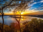 sunset thru a tree