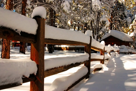 Snowy Fence - winter, nature, fence, snow