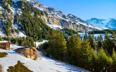 Winter in mountains - hut, slope, mountain, trees, landscape, winter, rocks, cottages, forest, snow, cabin